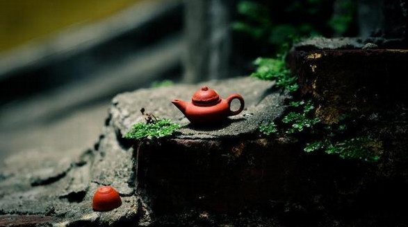 茶道基本流程：茶藝表演十三式術語，你學會了嗎？